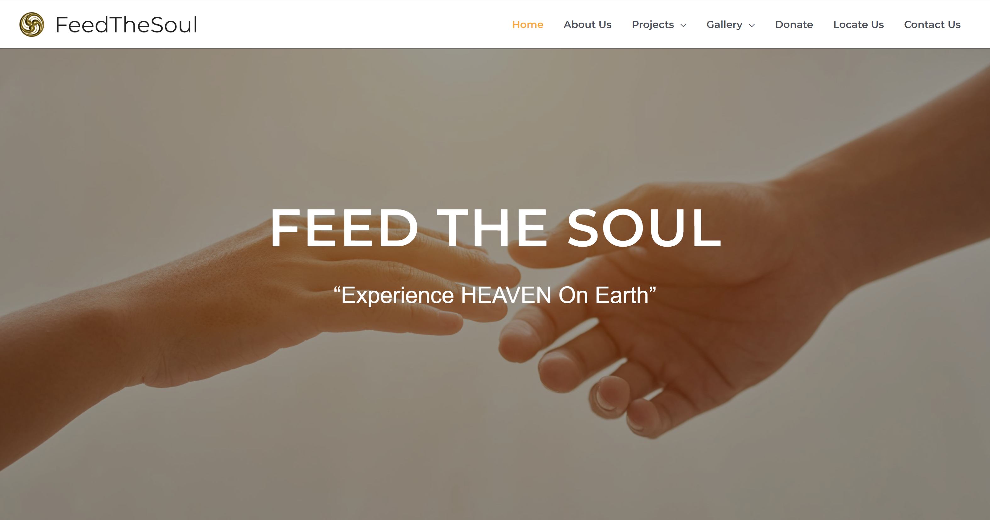 Feed The Soul case study preview